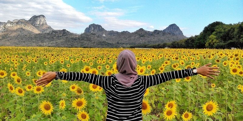 Thailand - Laos: Day 10 - Part 2 - Lopburi Sunflower Field